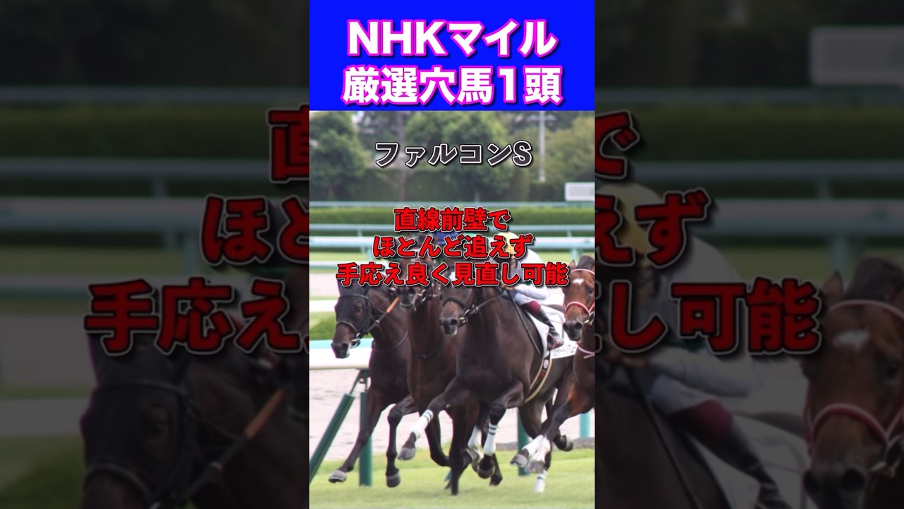 【NHKマイル2024厳選穴馬1頭】先週◎テーオーロイヤル🔥