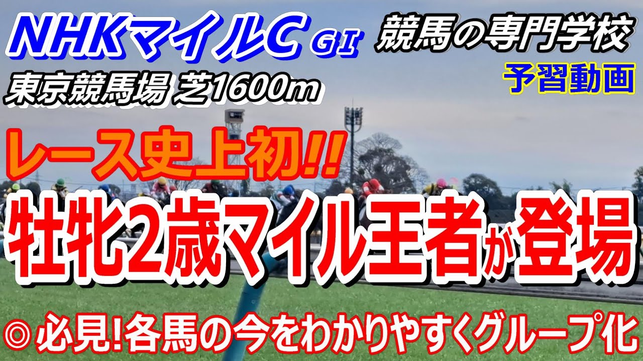 【NHKマイルC2024】予習動画 初心者にもわかりやすく有力馬をグループ化