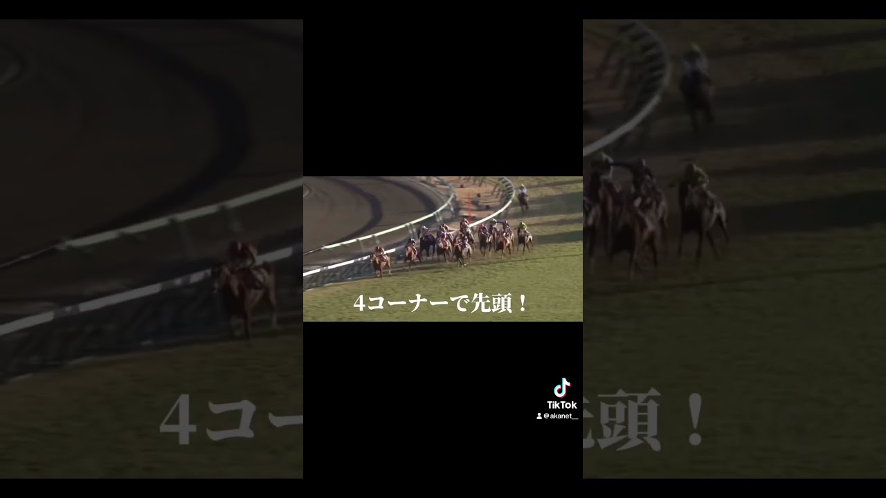 オルフェーヴルラストラン #競馬#オルフェーヴル #有馬記念