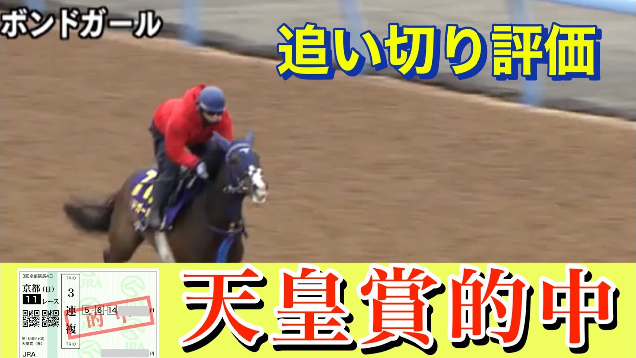 NHKマイルカップ2024 | 追い切り評価