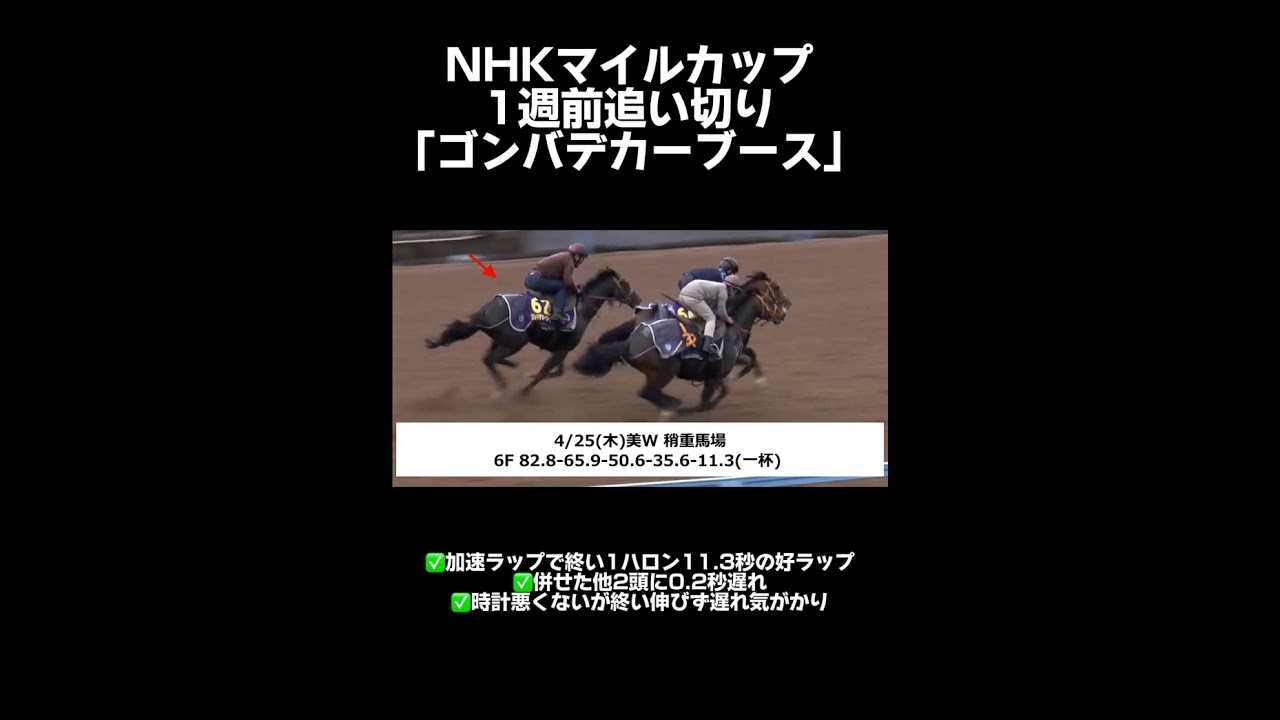 【 NHKマイルカップ 2024 】危険馬！この人気馬 かなり怪しいぞ！