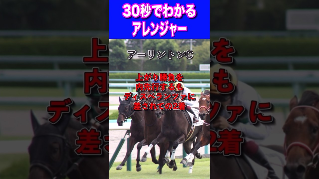 【NHKマイル2024】30秒でわかるアレンジャー