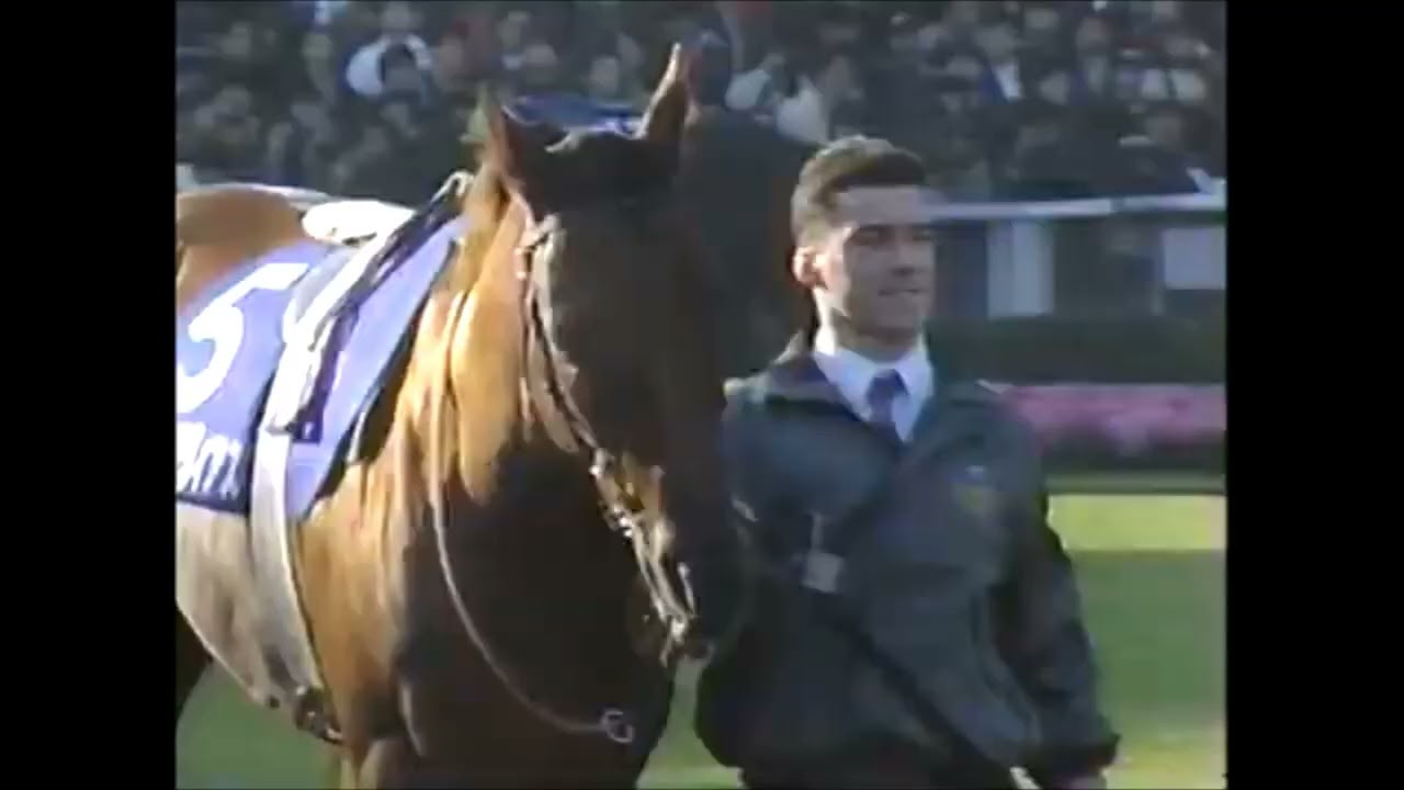 第12回　ジャパンカップ（ＧⅠ）パドック　1992.11.28　　出走馬：ユーザーフレンドリー、ドクターデヴィアス、クエストフォーフェイム、ナチュラリズム、トウカイテイオー、ヒシマサル他