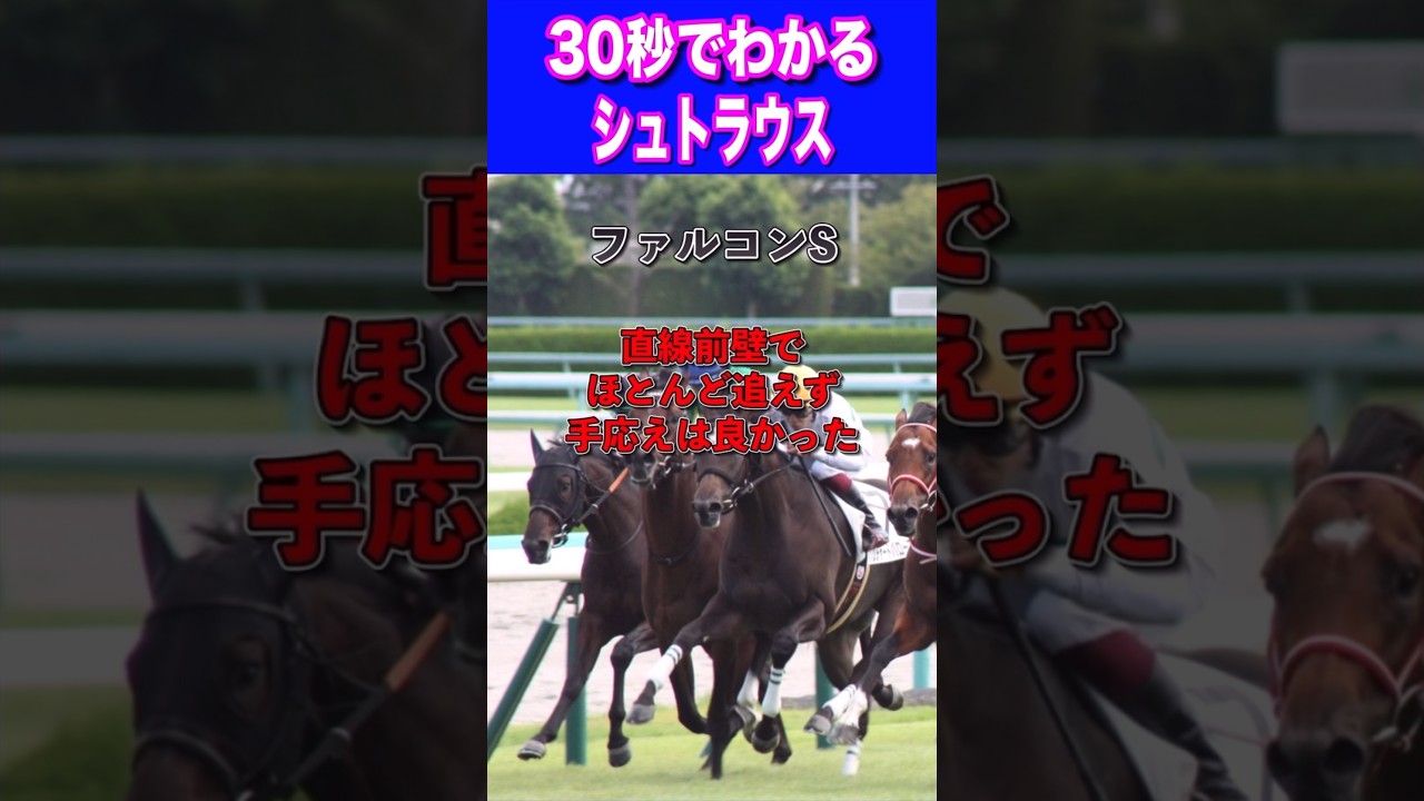【NHKマイル2024】30秒でわかるシュトラウス
