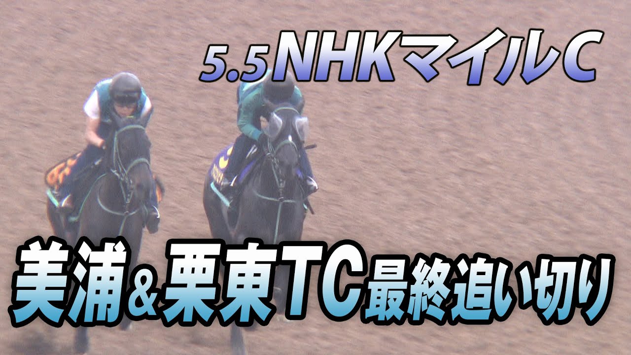 【NHKマイルカップ】2歳王者が激突！美浦＆栗東TC最終追い切り