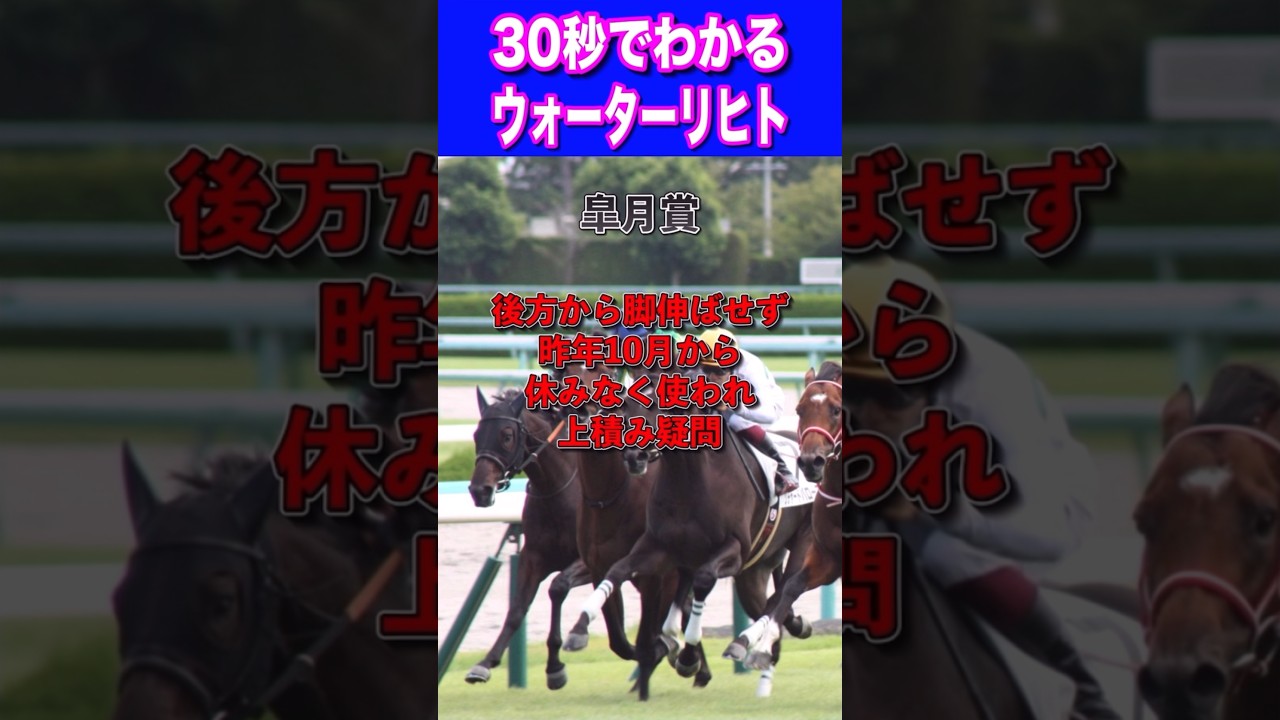 【NHKマイル2024】30秒でわかるウォーターリヒト