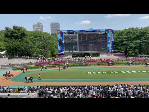 【第72回 安田記念(GI)】現地レース映像