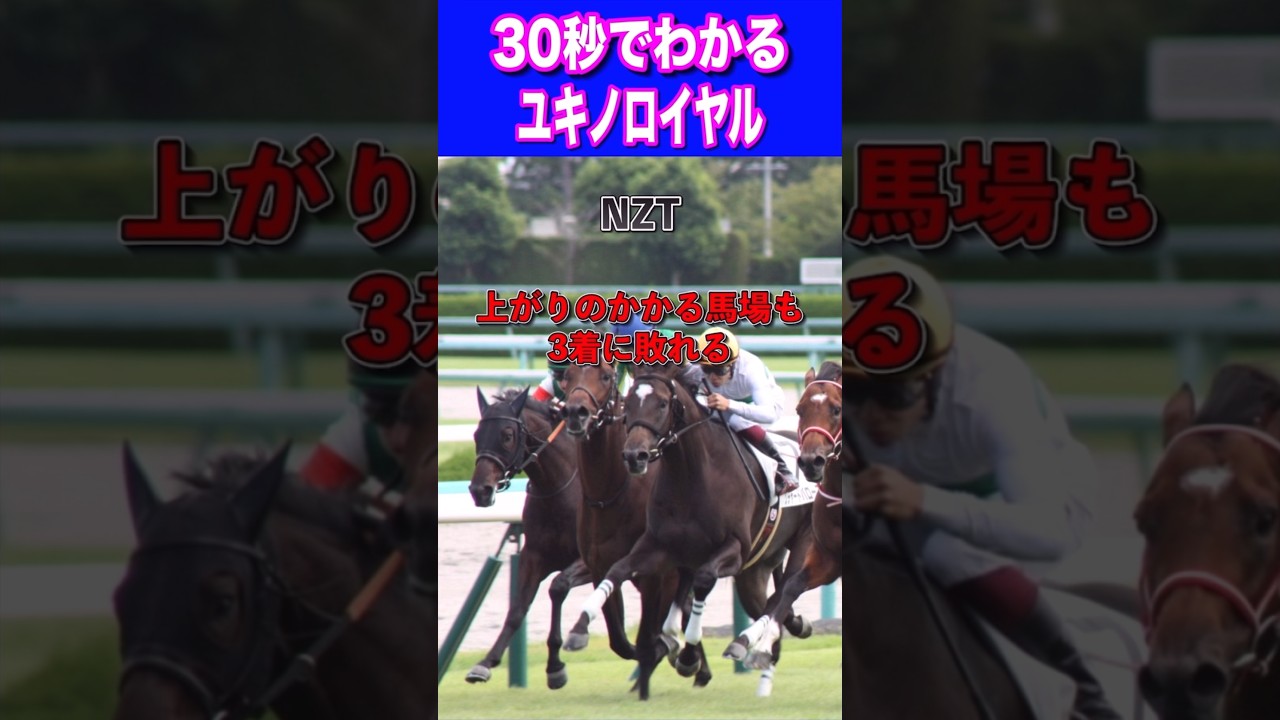 【NHKマイル2024】30秒でわかるユキノロイヤル