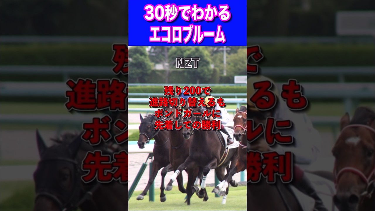 【NHKマイル2024】30秒でわかるエコロブルーム