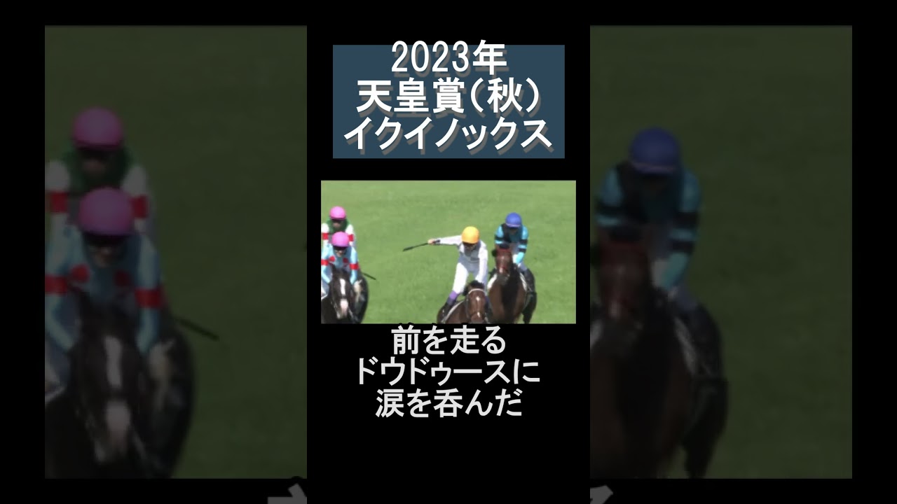 【競馬MAD】2023年 天皇賞秋 イクイノックス #競馬 #天皇賞秋 #イクイノックス