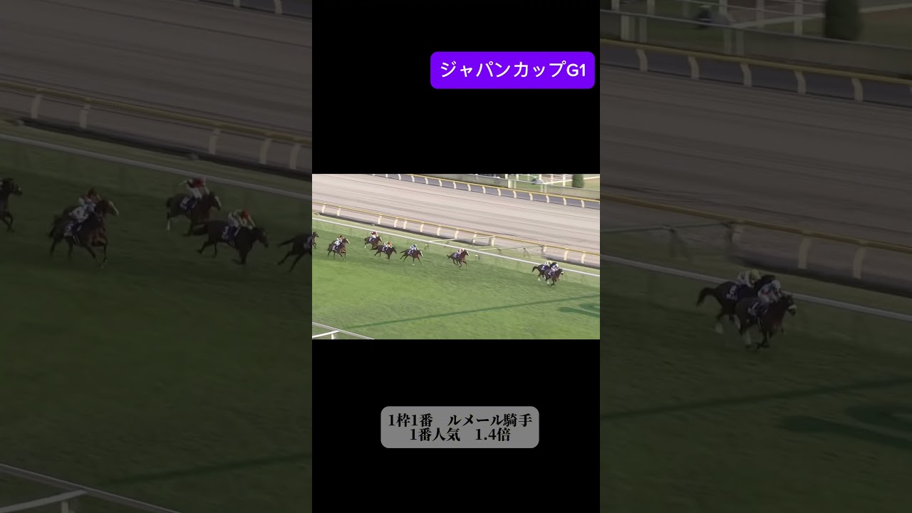 JC 2018 アーモンドアイ　ジャパンカップ　#jra #ウマ娘 #競馬　#jc #アーモンドアイ