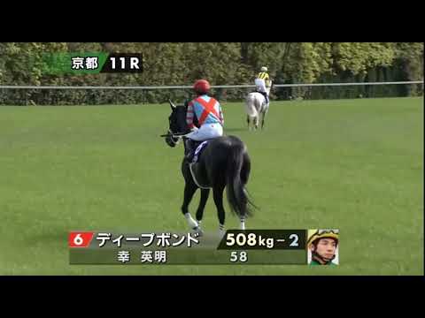 2024 第169回天皇賞（春）〔GⅠ〕本馬場入場