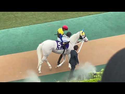 【第73回 安田記念(GI)】パドック