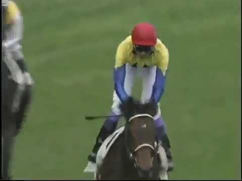 2005年　東京第10R　第72回東京優駿日本ダービー(G1)　ディープインパクト