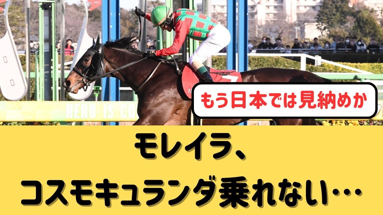 【日本ダービー】コスモキュランダはモレイラではなくミルコデムーロ【競馬の反応集】