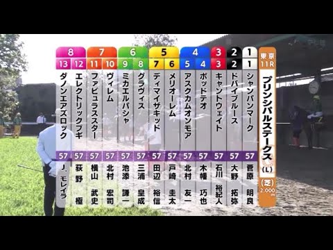 【プリンシパルステークス＜日本ダービーTR＞】R6.5/4（Ｌ／東京・芝2000ｍ ﾗｼﾞｵ実況版）