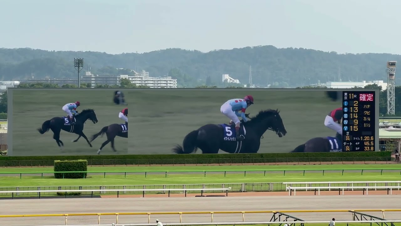 【第64回 宝塚記念(GI)】中継映像 from 阪神競馬場