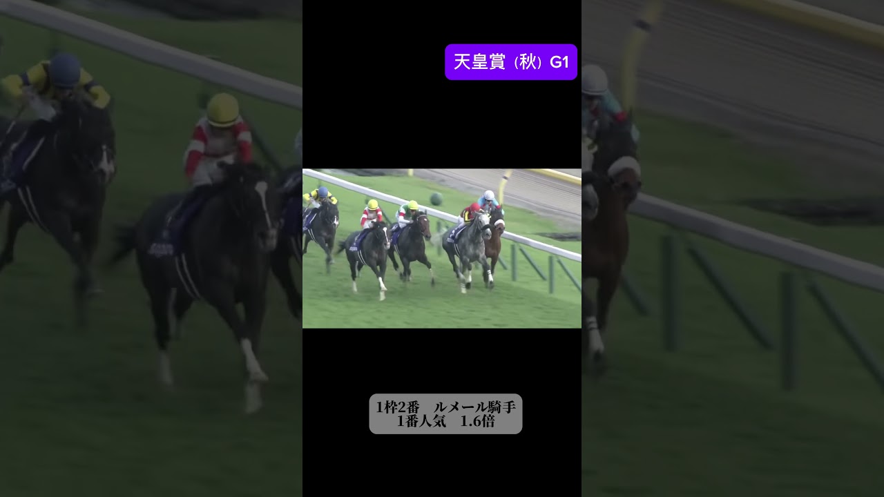 アーモンドアイ　天皇賞　秋　#jra #ウマ娘 #競馬 #アーモンドアイ #shorts