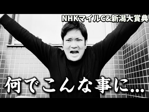 【NHKマイルC 2024】こんな事が本当にあっても良いんでしょうか。