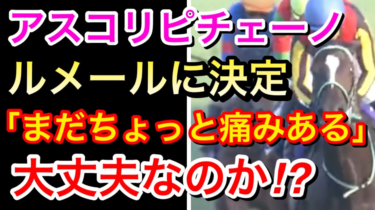 【NHKマイルカップ2024】アスコリピチェーノはルメール騎手！実践復帰当日がG1で大丈夫なのか！？【競馬の反応集】