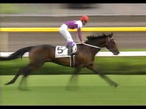 第65回 東京優駿（日本ダービー） G1 （1998/6/7・東京） スペシャルウィーク