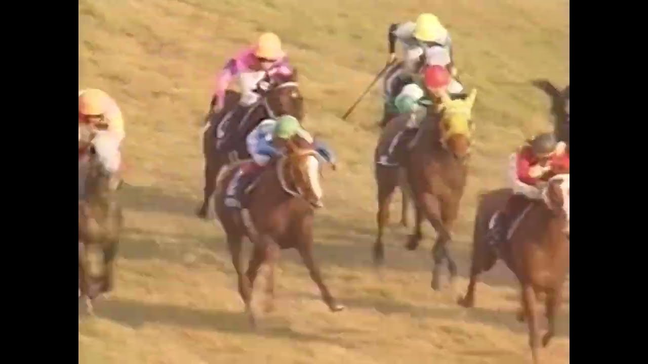 ヤマニンゼファー 1993年 第108回天皇賞(秋)(GI) (優勝馬：ヤマニンゼファー)(実況：ラジオたんぱ)