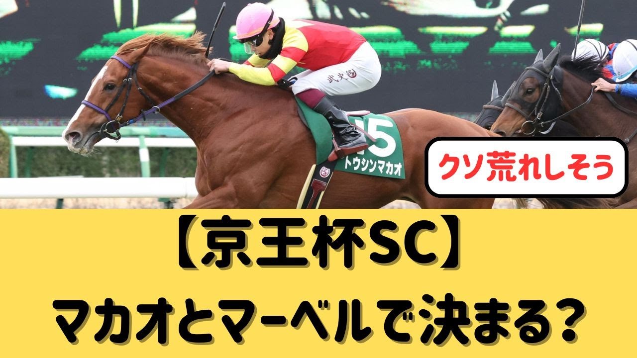 【京王杯SC】高松宮記念組が強いのか？【競馬の反応集】