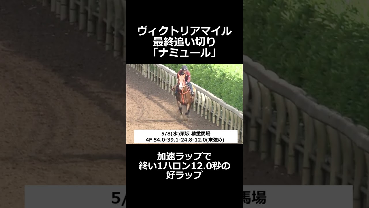 【 ヴィクトリアマイル 2024 】やはりこの馬が最強！強気で勝負！#競馬 #競馬予想