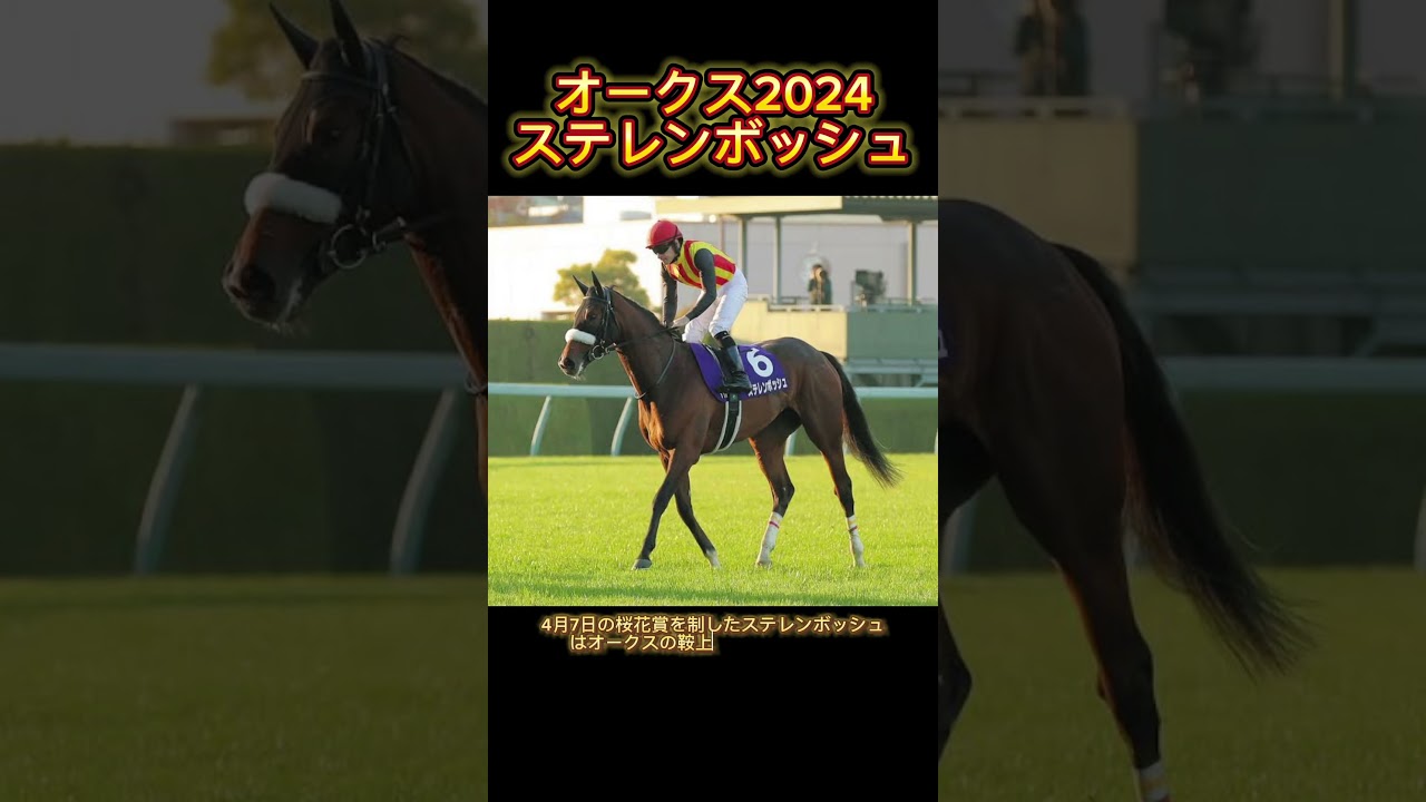 【オークス2024】ステレンボッシュ、戸崎Jと新コンビ #競馬 #オークス#オークス2024#ステレンボッシュ #戸崎圭太