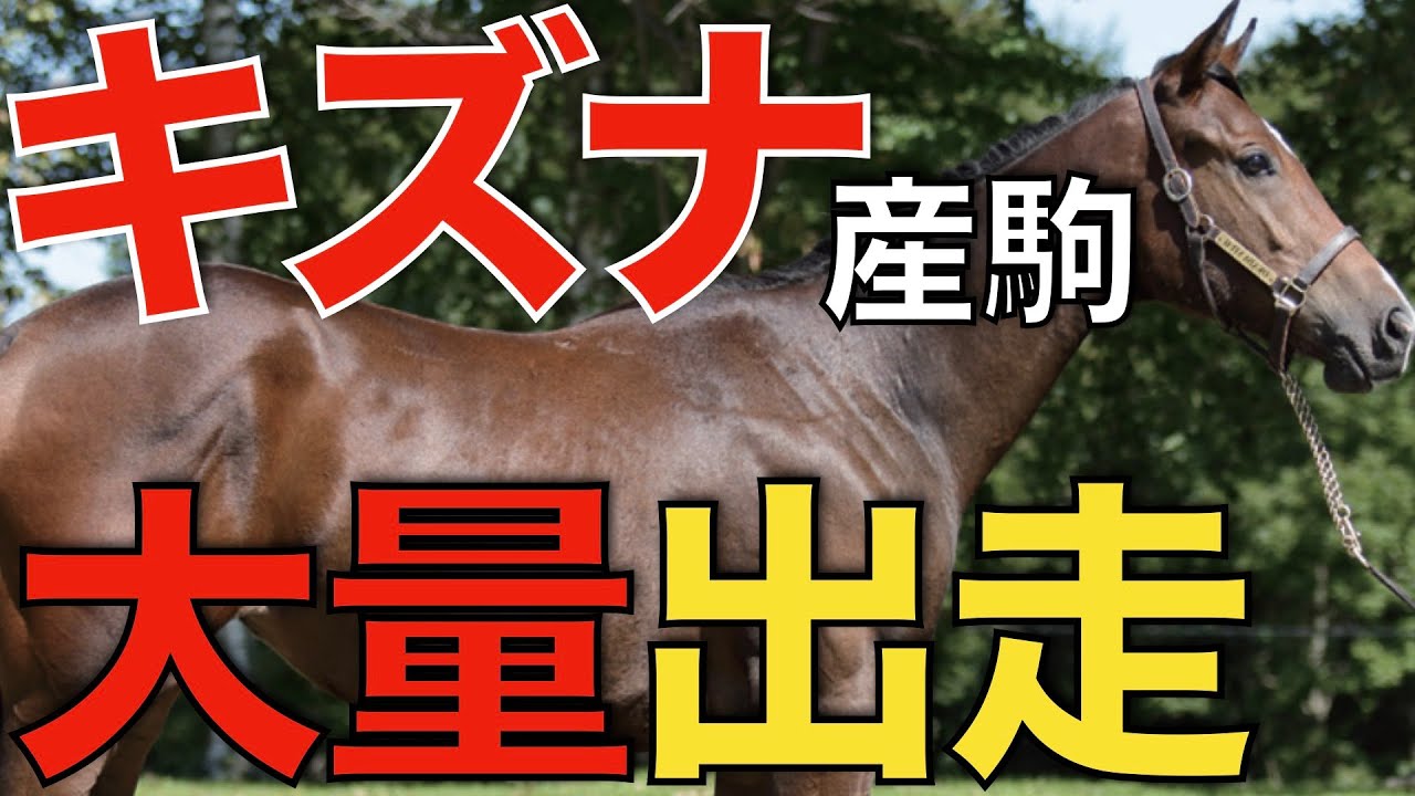 キズナ産駒、日本ダービーに大量出走へ！種牡馬としての地位を確立。