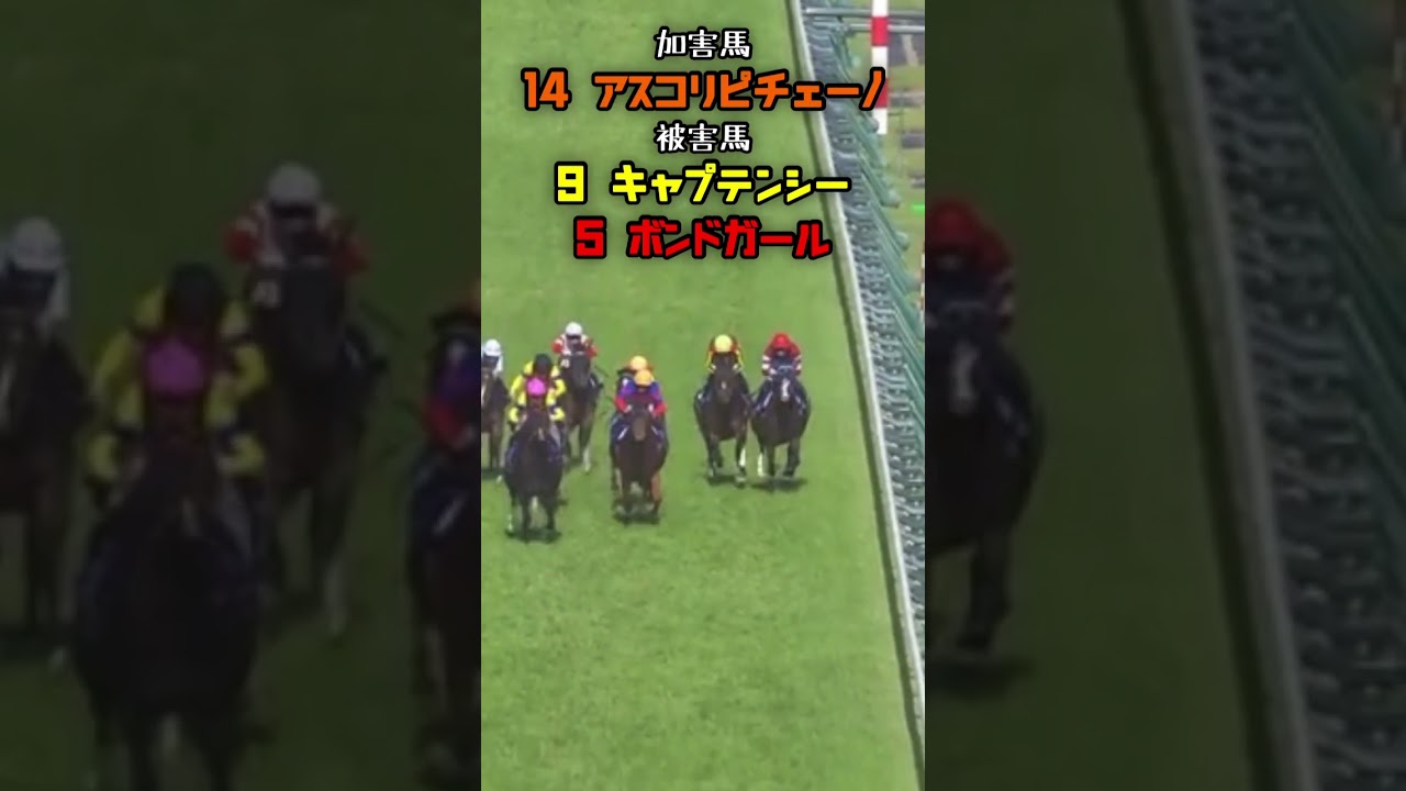 【パトロールビデオ】NHKマイルC2024最後の直線でのアスコリピチェーノの斜行