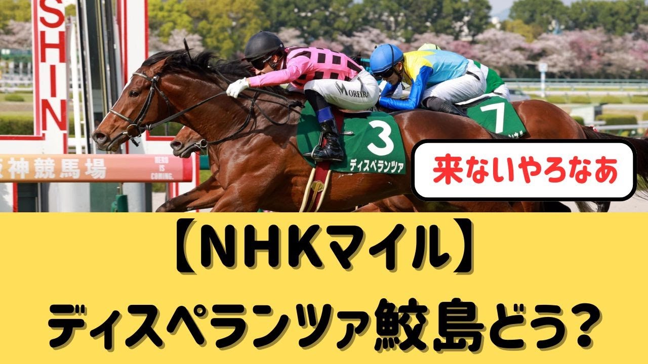 【NHKマイル】ディスペランツァ＆鮫島克駿騎手どうなる？【競馬の反応集】