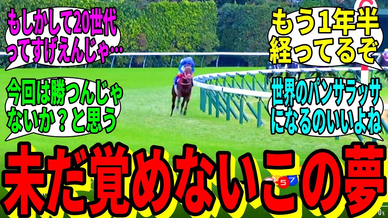 【競馬の反応集】「俺は未だに夢の中にいるのかもしれない」に対する視聴者の反応集