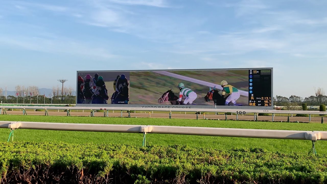 京都サンガ観戦後のエリザベス女王杯🐎