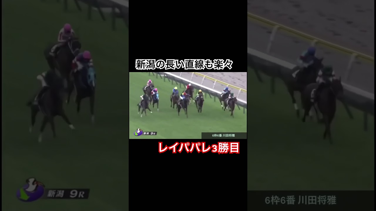 【3勝目】新潟の長い直線も楽々勝利