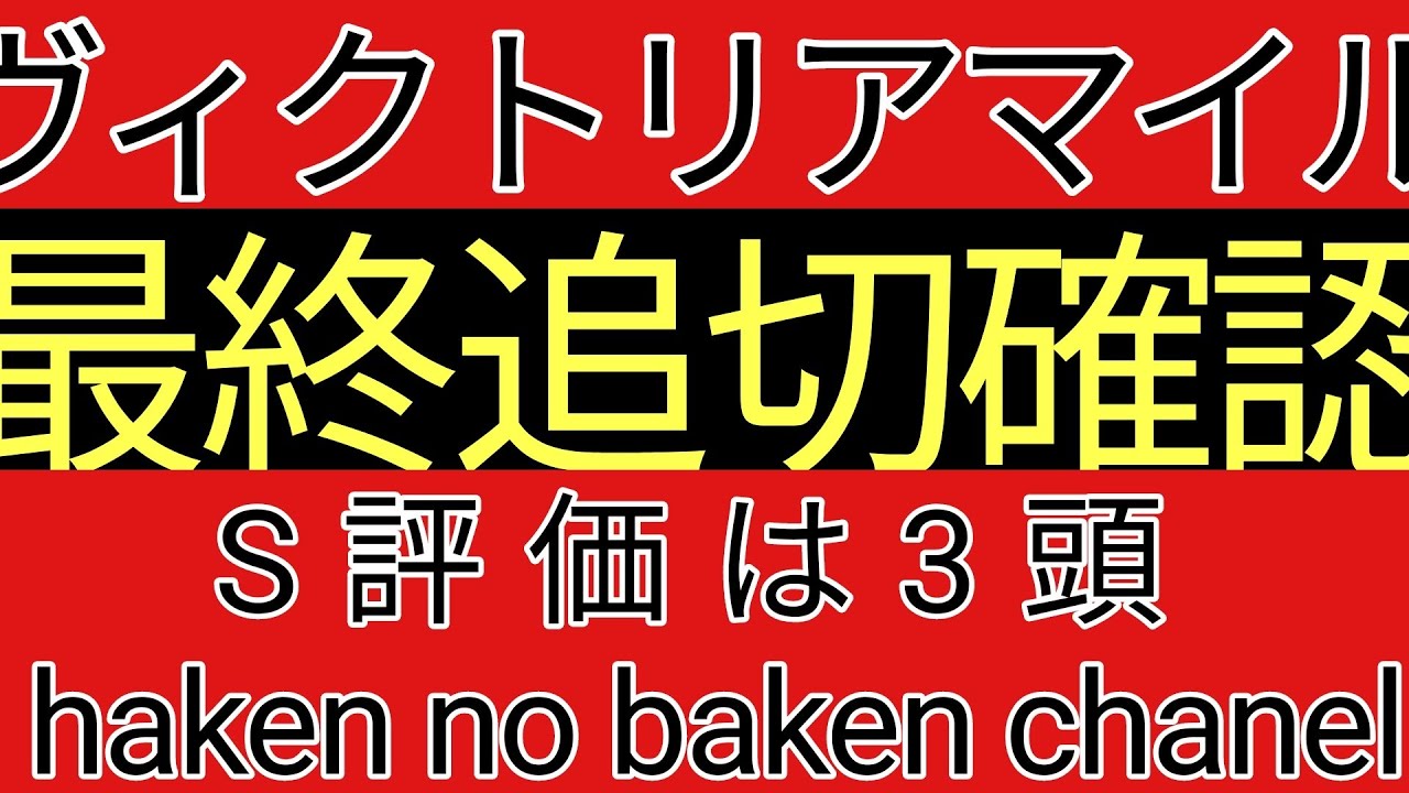 ヴィクトリアマイル2024　最終追切確認　S評価は３頭