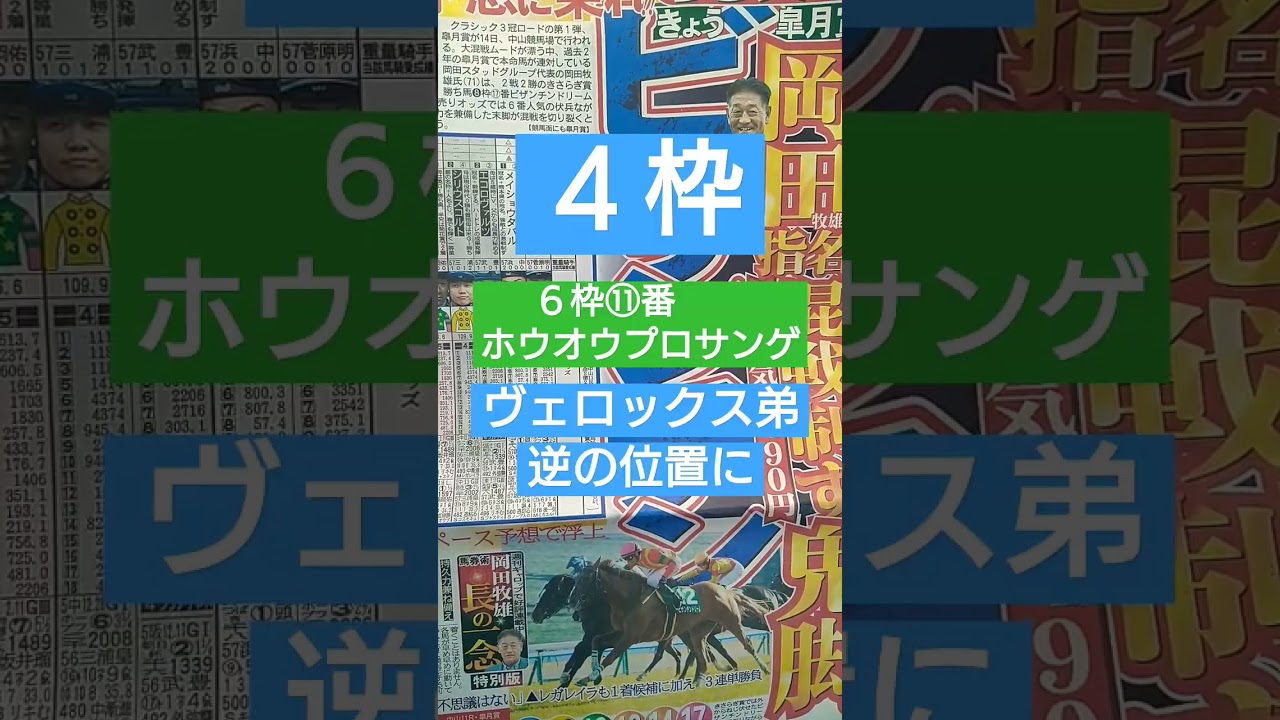 #中山11r#皐月賞#ヴェロックス#スプリンターズステークス #有馬記念 #川田将雅 #サイン競馬 #サイン予想
