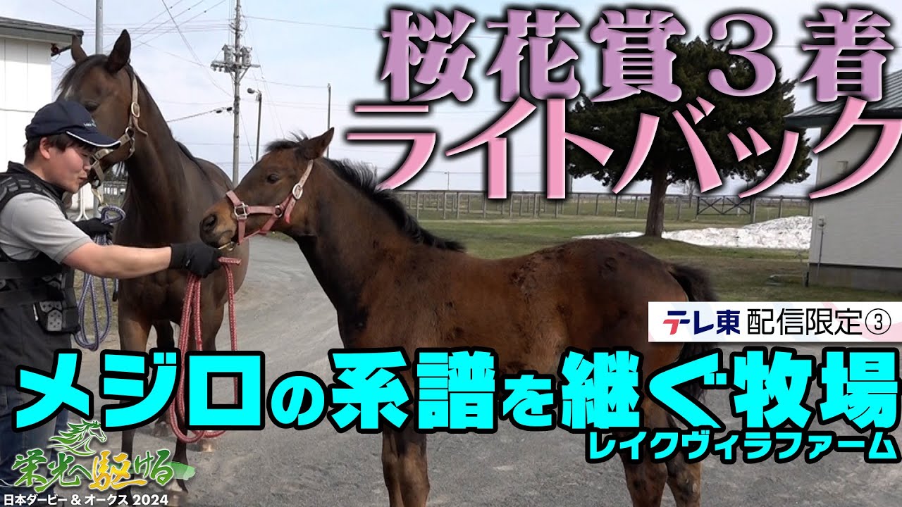 ライトバック 名門メジロ牧場の系譜 いざオークスの舞台へ｜栄光へ駆ける 日本ダービー＆オークス2024【配信限定：エピソード⑨】