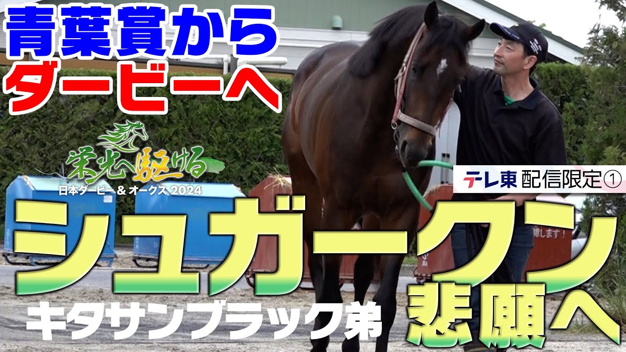 シュガークン、武豊騎手とダービー制覇へ｜栄光へ駆ける 日本ダービー＆オークス2024【配信限定：エピソード⑦】