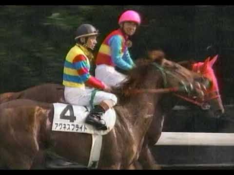 第67回 東京優駿（日本ダービー） G1 （2000/5/28・東京） アグネスフライト