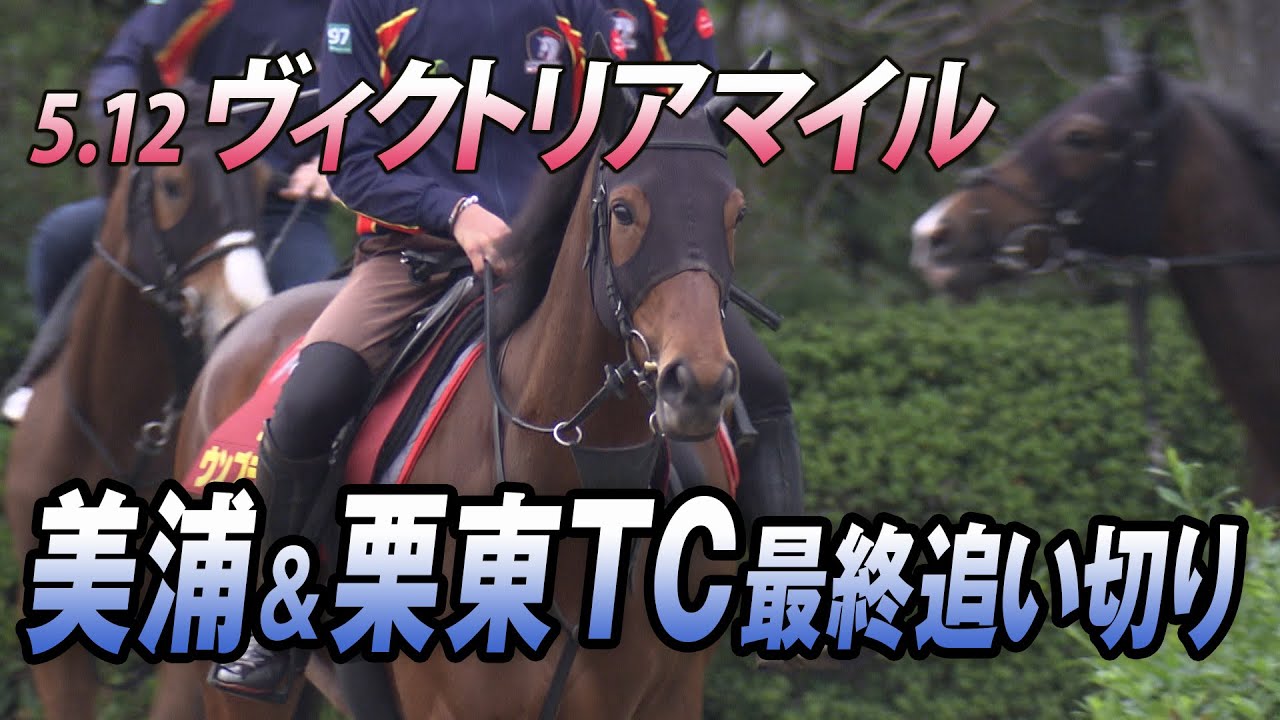 【ヴィクトリアマイル】マイル女王決定戦！美浦＆栗東TC最終追い切り