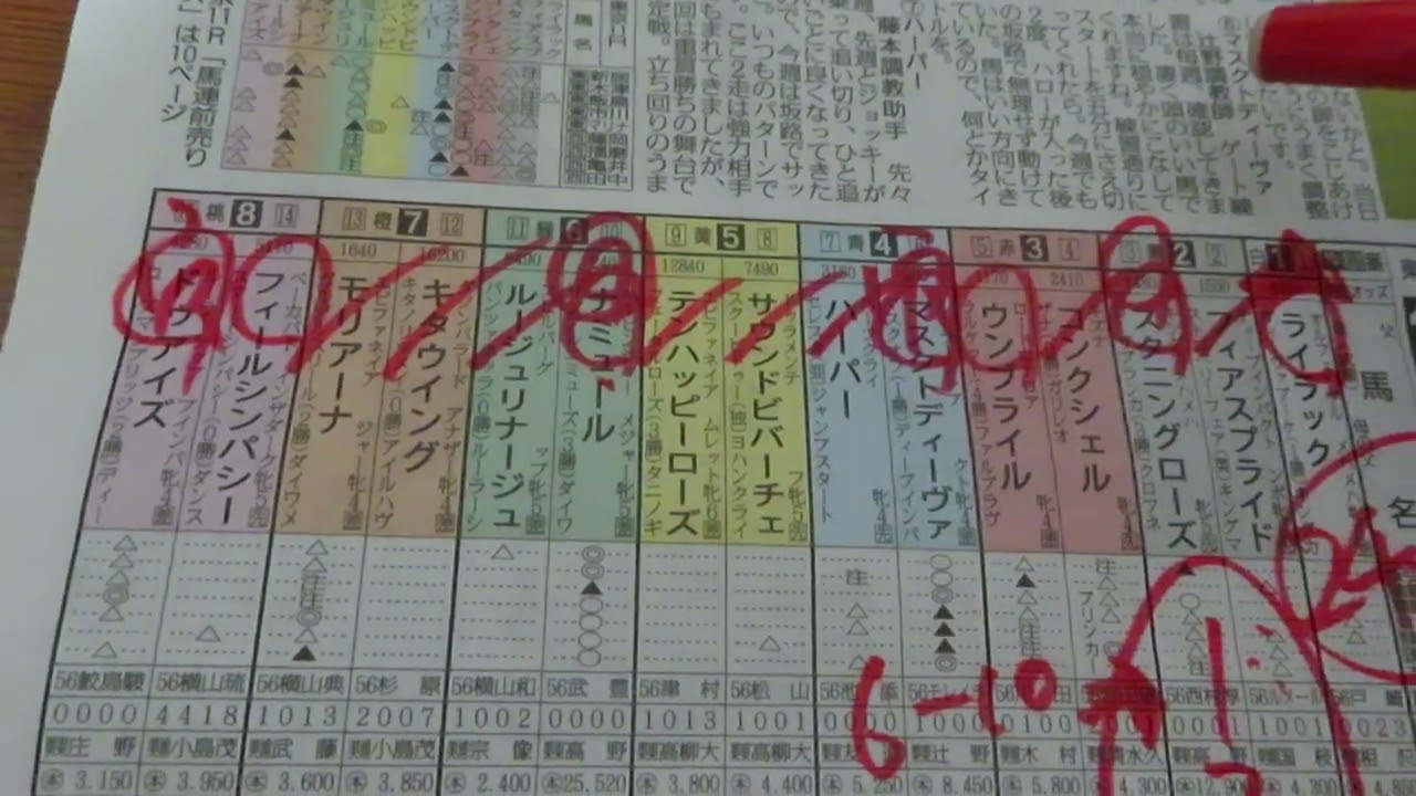 ヴィクトリアマイル　反省競馬ダイジェスト～