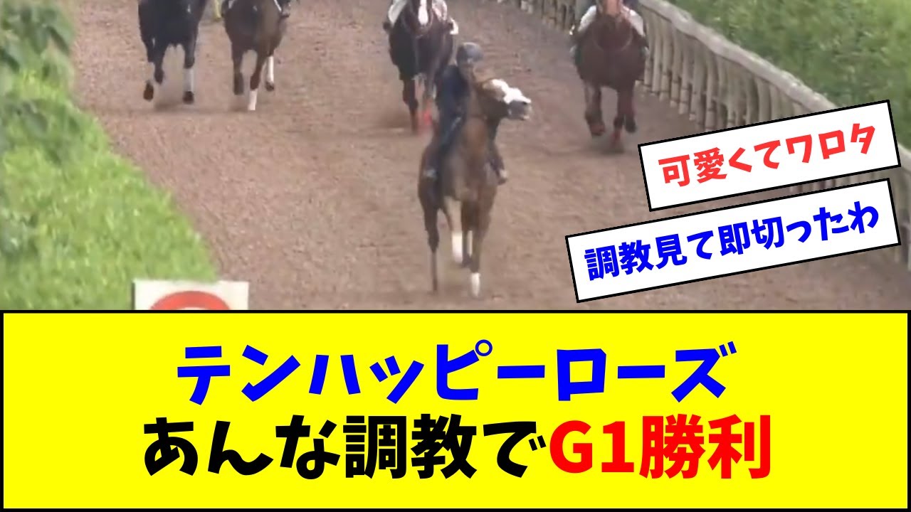 テンハッピーローズ、あんな調教でG1ヴィクトリアマイルを制覇ｗｗｗ