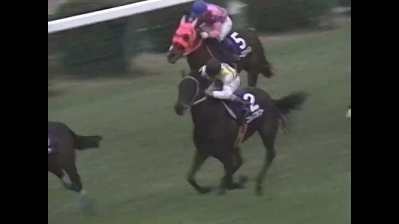 ヤマニンゼファー 1993年 第27回スプリンターズステークス(GI) (優勝馬：サクラバクシンオー)(実況：ラジオたんぱ)