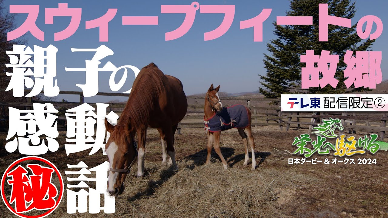 スウィープフィート 生まれ故郷の感動秘話｜栄光へ駆ける 日本ダービー＆オークス2024【配信限定：エピソード⑧】