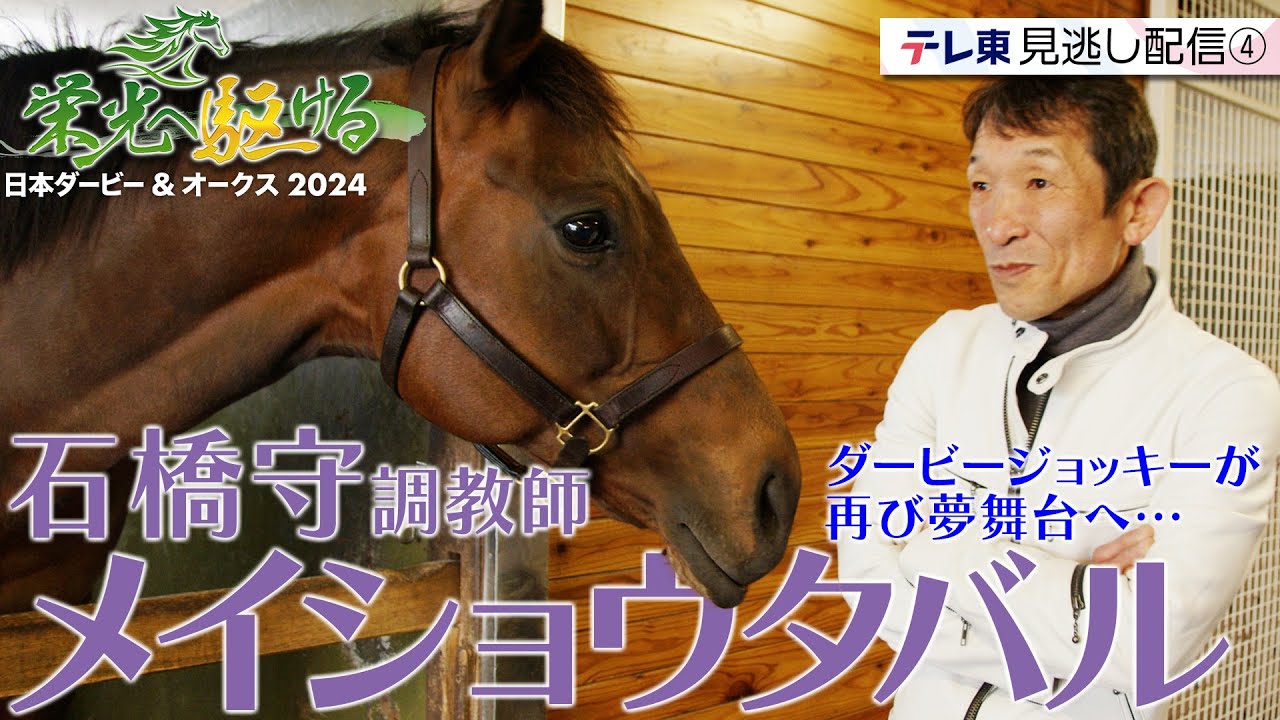 メイショウタバル 石橋守調教師に独占密着！あの馬と再会｜栄光へ駆ける 日本ダービー＆オークス2024【エピソード④】