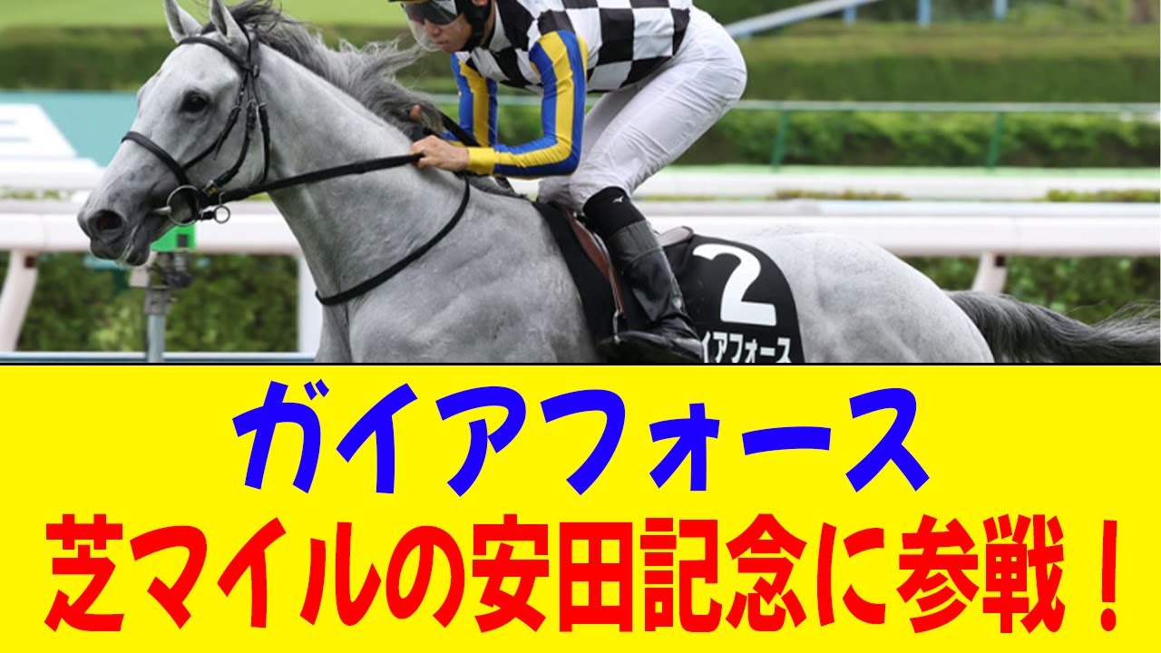 ガイアフォース、次走は安田記念wwwww【競馬】
