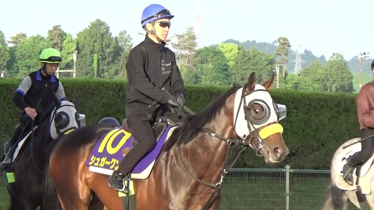 【日本ダービー】シュガークン 1週前追い切り（武豊騎手騎乗）