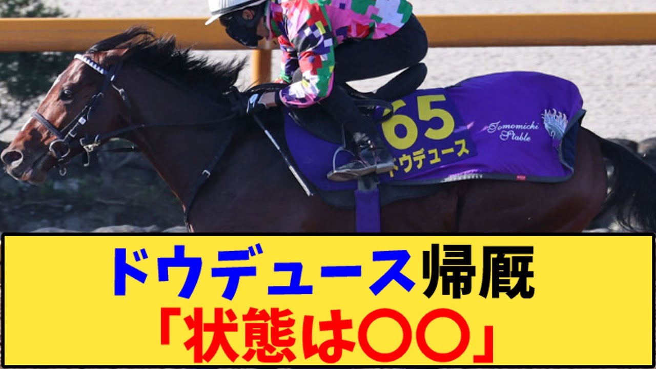 【競馬】「ドウデュース帰厩 「状態は〇〇」」に対する反応【反応集】