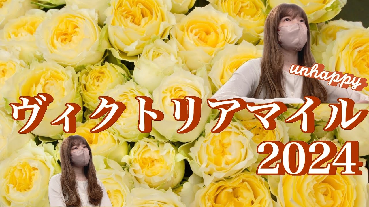 ヴィクトリアマイルのいちにち